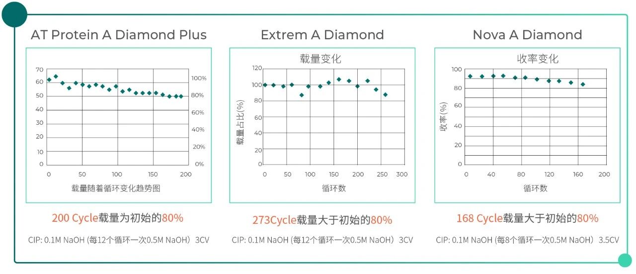 Column Chromatography-pic-05